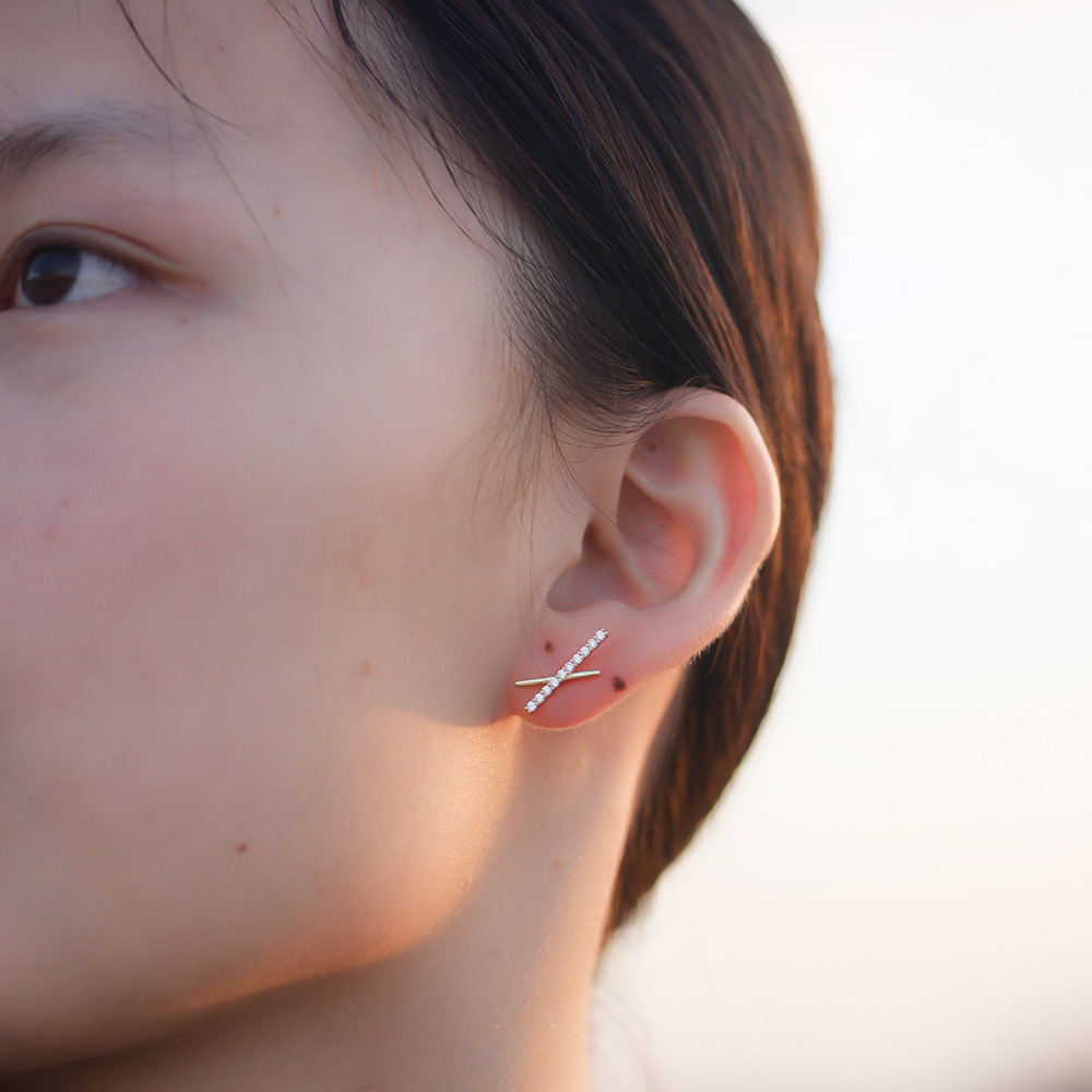 S925 Sterling Silver Geometric Cross Letter X Zirconia Stud Earrings for Women, European and American Style, Light Luxury, INS Style, Simple and Fashionable Earrings