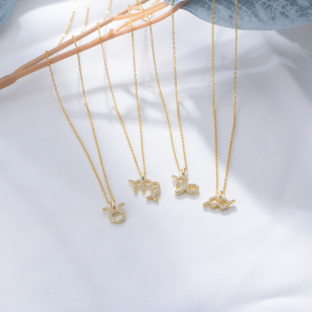 S925 Sterling Silver Diamond Twelve Constellation Pendant Necklace for Women, Fashionable Popular Collarbone Chain, European and American Style, Wish Hot Selling Item