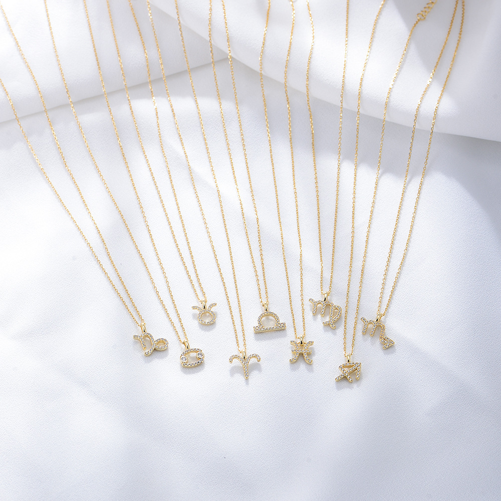 S925 Sterling Silver Diamond Twelve Constellation Pendant Necklace for Women, Fashionable Popular Collarbone Chain, European and American Style, Wish Hot Selling Item