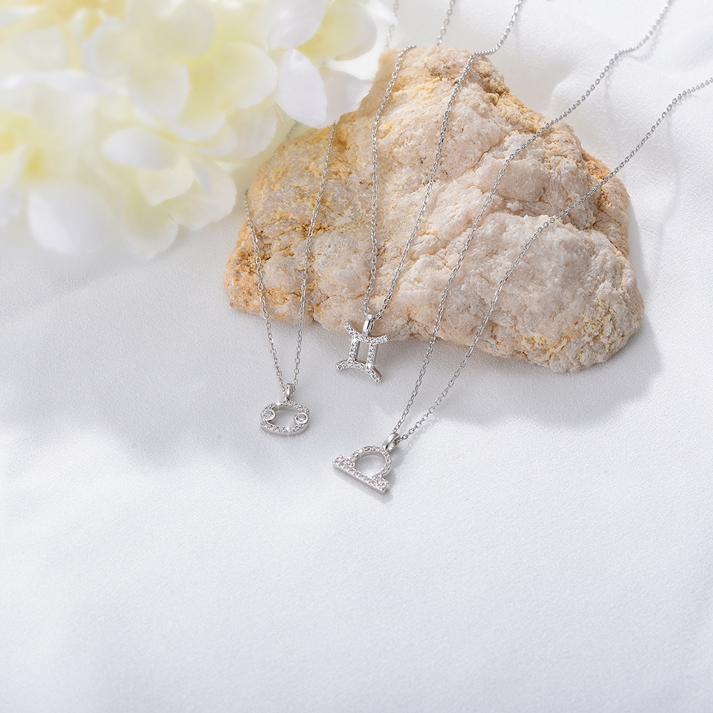 S925 Sterling Silver Diamond Twelve Constellation Pendant Necklace for Women, Fashionable Popular Collarbone Chain, European and American Style, Wish Hot Selling Item