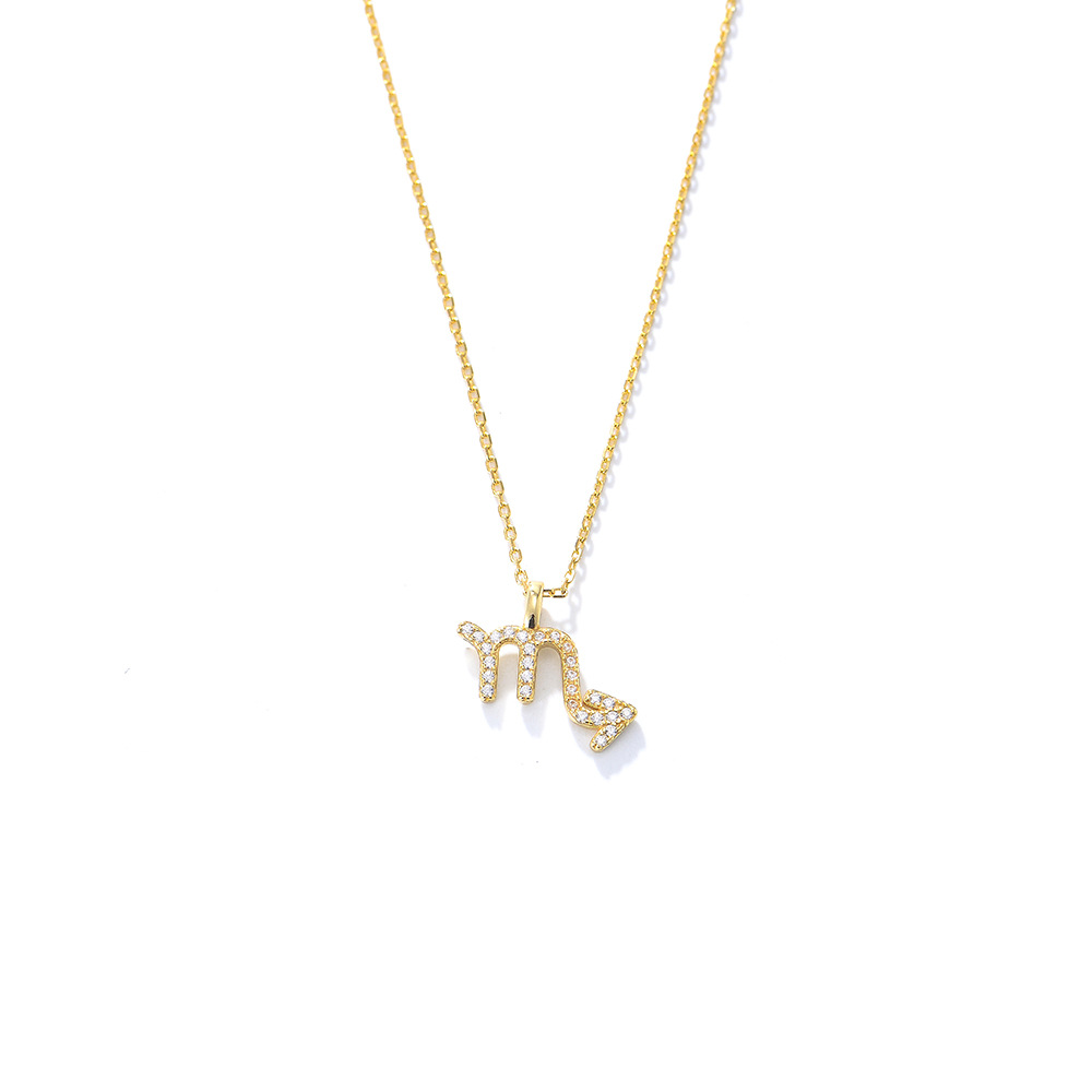 S925 Sterling Silver Diamond Twelve Constellation Pendant Necklace for Women, Fashionable Popular Collarbone Chain, European and American Style, Wish Hot Selling Item