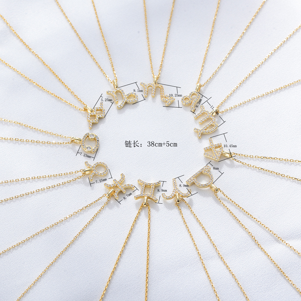 S925 Sterling Silver Diamond Twelve Constellation Pendant Necklace for Women, Fashionable Popular Collarbone Chain, European and American Style, Wish Hot Selling Item